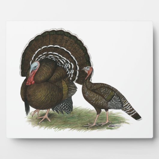 Türkei Standard Bronze Fotoplatte (Vorderseite)