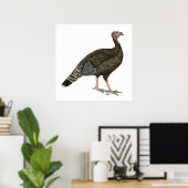 Türkei: Standard Bronze Hen Poster (Heimbüro)