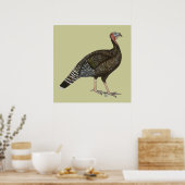 Türkei: Standard Bronze Hen Poster (Küche)