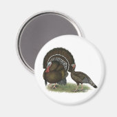 Türkei Standard Bronze Magnet (Vorderseite/Rückseite)