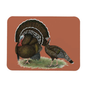 Türkei Standard Bronze Magnet
