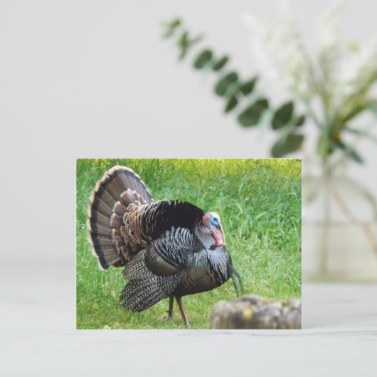 Türkei Time Postcard Postkarte (Stehend Vorderseite)