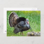 Türkei Time Postcard Postkarte (Vorne/Hinten)