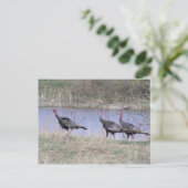 Türkei-Trio mit Wasser Postkarte (Stehend Vorderseite)