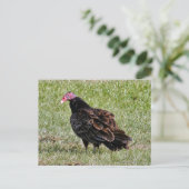 Türkei Vulkan Foto Postcard Postkarte (Stehend Vorderseite)