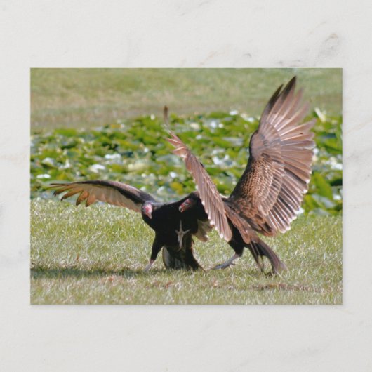 Türkei Vulkan Foto Postcard Postkarte (Vorderseite)