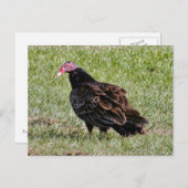 Türkei Vulkan Foto Postcard Postkarte (Vorne/Hinten)