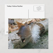 Türkei Vulture Feather Coordinated Items Postkarte (Vorne/Hinten)