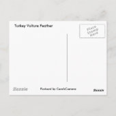 Türkei Vulture Feather Coordinated Items Postkarte (Rückseite)