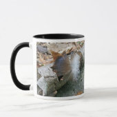 Türkei Vulture Feather Coordinated Items Tasse (Links)