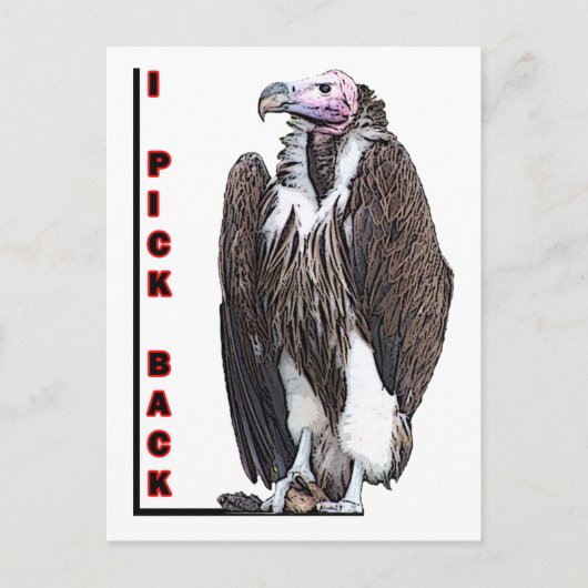 Türkei Vulture I Pick Back Posteried Foto Postkarte (Vorderseite)