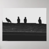 Türkei-Vulture, Poster (Vorne)