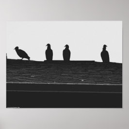 Türkei-Vulture, Poster