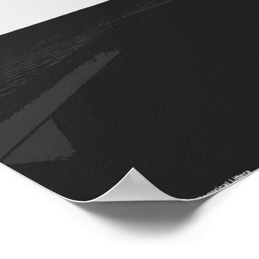 Türkei-Vulture, Poster (Ecke)