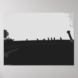 Türkei-Vulture, Poster