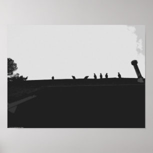 Türkei-Vulture, Poster