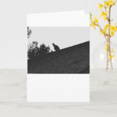 Türkei Vulture Silhouette, Karte (Gelbe Blume)