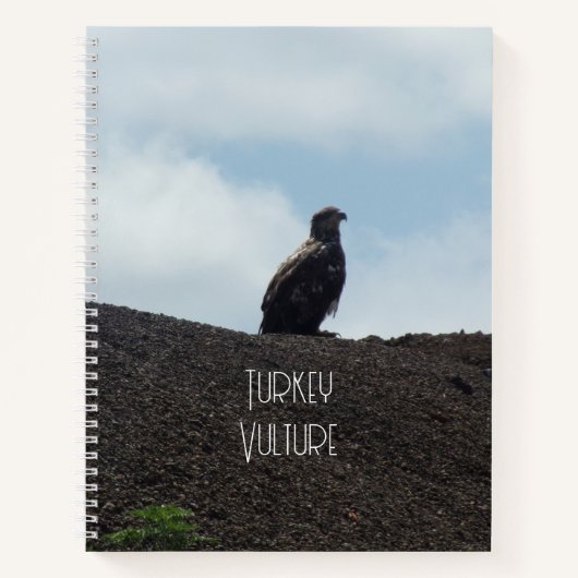 Türkei Vulture Spiral Notebook Notizblock (Vorderseite)
