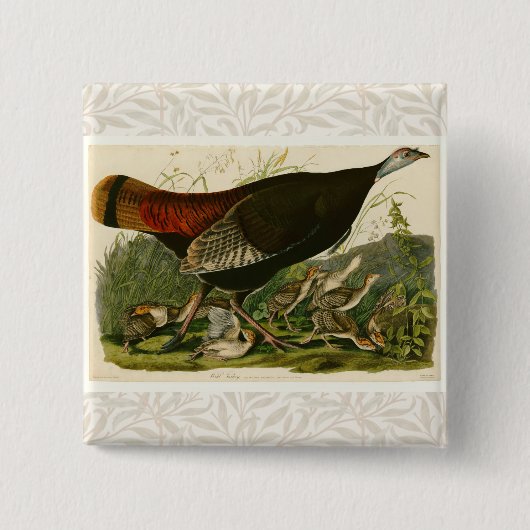 Türkei Wild Audubon Bird Painting Button (Vorderseite)