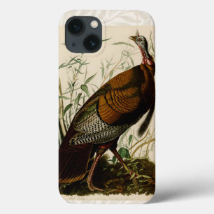Türkei Wild Audubon Bird Painting Case-Mate iPhone Hülle