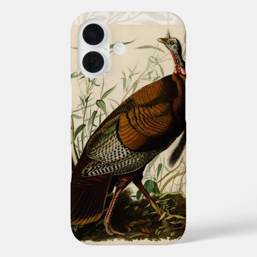 Türkei Wild Audubon Bird Painting Case-Mate iPhone Hülle (Rückseite)