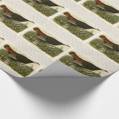 Türkei Wild Audubon Bird Painting Geschenkpapier (Ecke)