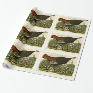 Türkei Wild Audubon Bird Painting Geschenkpapier