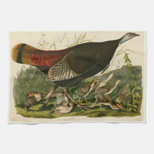 Türkei Wild Audubon Bird Painting Handtuch (Horizontal)