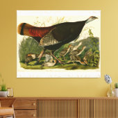 Türkei Wild Audubon Bird Painting Leinwanddruck (Insitu (Wohnzimmer))