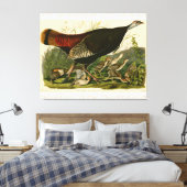 Türkei Wild Audubon Bird Painting Leinwanddruck (Insitu (Schlafzimmer))