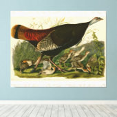 Türkei Wild Audubon Bird Painting Leinwanddruck (Insitu (Holzboden))