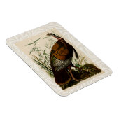 Türkei Wild Audubon Bird Painting Magnet (Rechte Seite)