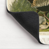 Türkei Wild Audubon Bird Painting Mousepad (Ecke)