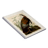 Türkei Wild Audubon Bird Painting Notizblock (Rechte Seite)