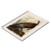 Türkei Wild Audubon Bird Painting Notizblock (Linke Seite)