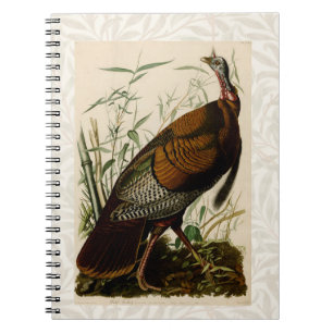 Türkei Wild Audubon Bird Painting Notizblock