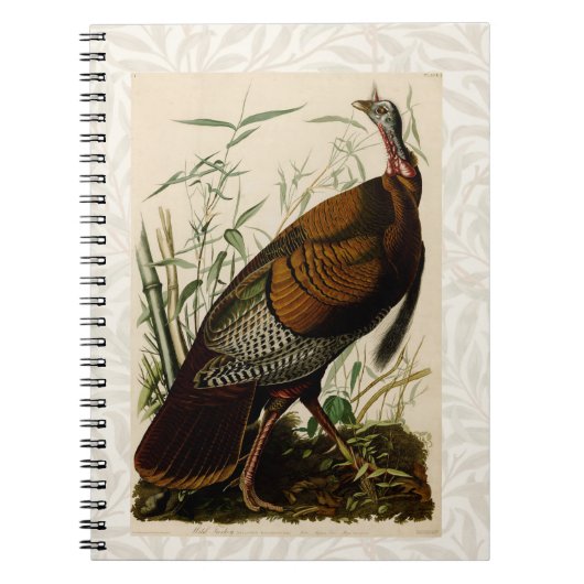 Türkei Wild Audubon Bird Painting Notizblock (Vorderseite)