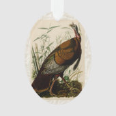 Türkei Wild Audubon Bird Painting Ornament (Vorderseite)