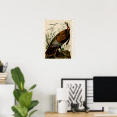 Türkei Wild Audubon Bird Painting Poster (Heimbüro)