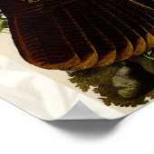 Türkei Wild Audubon Bird Painting Poster (Ecke)