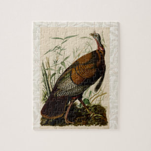 Türkei Wild Audubon Bird Painting Puzzle