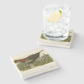 Türkei Wild Audubon Bird Painting Steinuntersetzer (Seitenansicht)