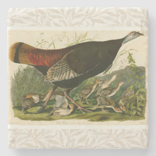 Türkei Wild Audubon Bird Painting Steinuntersetzer