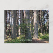 Türkei Zeit! Postkarte (Vorderseite)