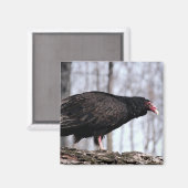 Türkeigeier Magnet (Vorderseite/Rückseite)