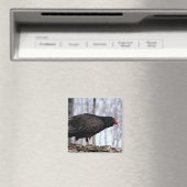 Türkeigeier Magnet (In Situ (Geschirrspüler))