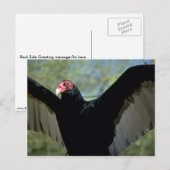 Türkeigeier mit großen Flügeln Postkarte (Vorne/Hinten)