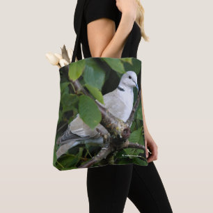 Türkentaube auf dem Kirschbaum Tasche