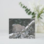 Türkentaube im Schnee DIY Postkarte (Stehend Vorderseite)