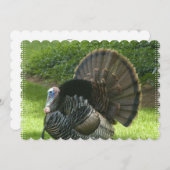 turkey-1.jpg einladung (Vorne/Hinten)